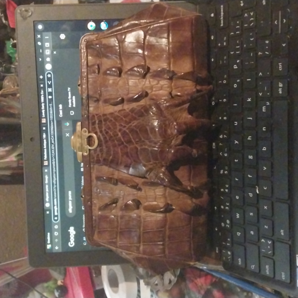 1904 Alligator Clutch Purse